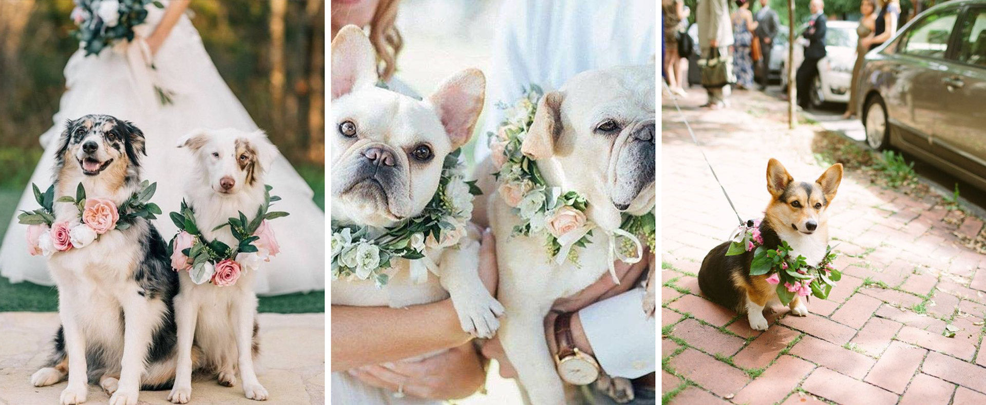 Los mails y llamadas de ... Las dudas...